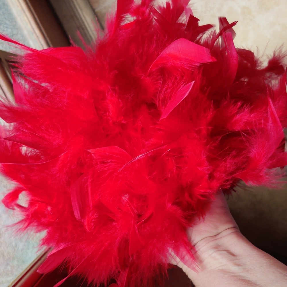 Feather Boa View 3
